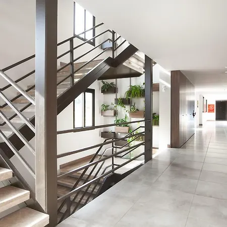 Lavanta קיירניה