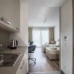 Lavanta كيرينيا