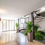 Lavanta كيرينيا